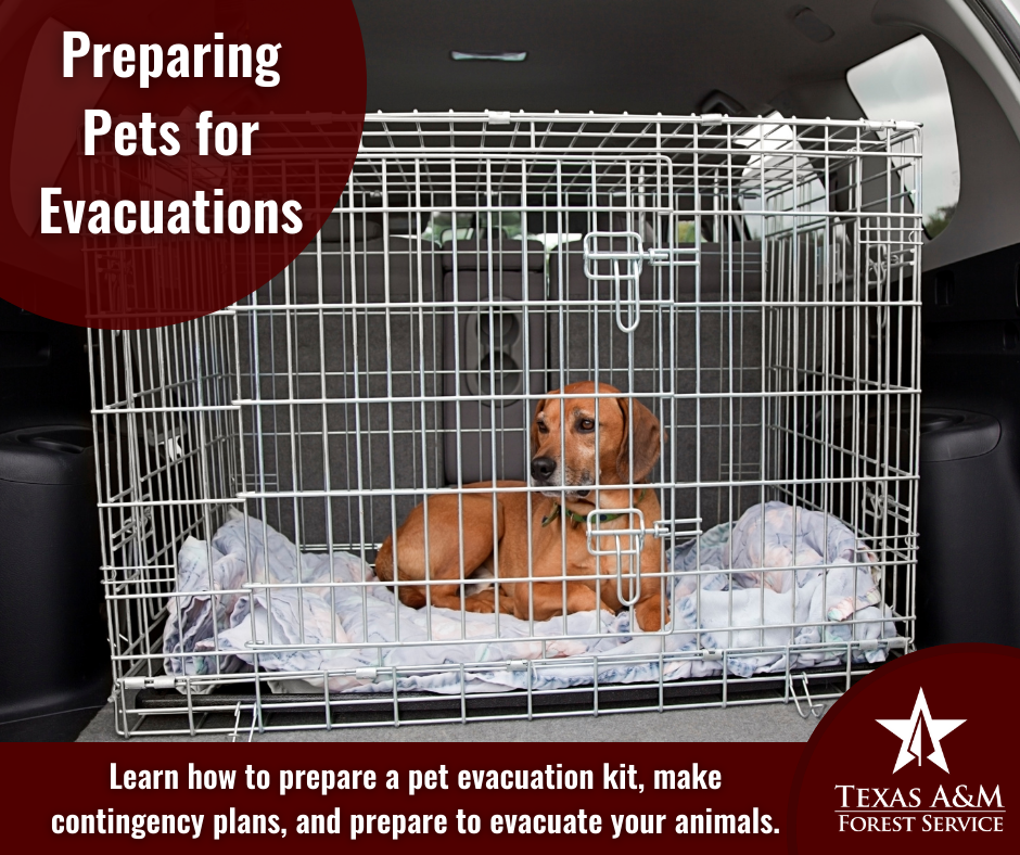 Evacuation Resources - Pet Evacuations